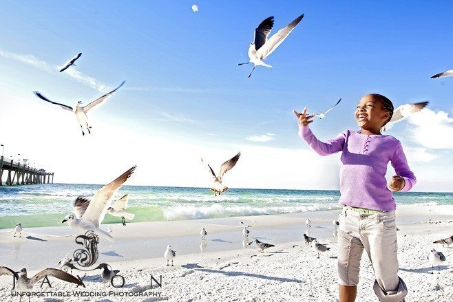 Girl feeds the gulls on the beach in Destin, FL