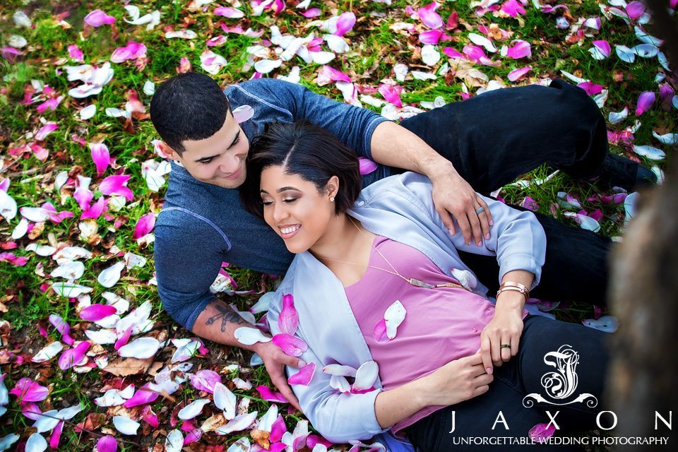 Couple on the grass surrounded by the brilliant goblet like blooms of the Tulip magnolia tree